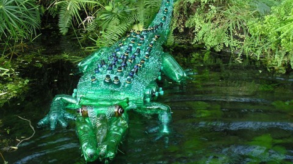 Veronika Richterová - krokodýl