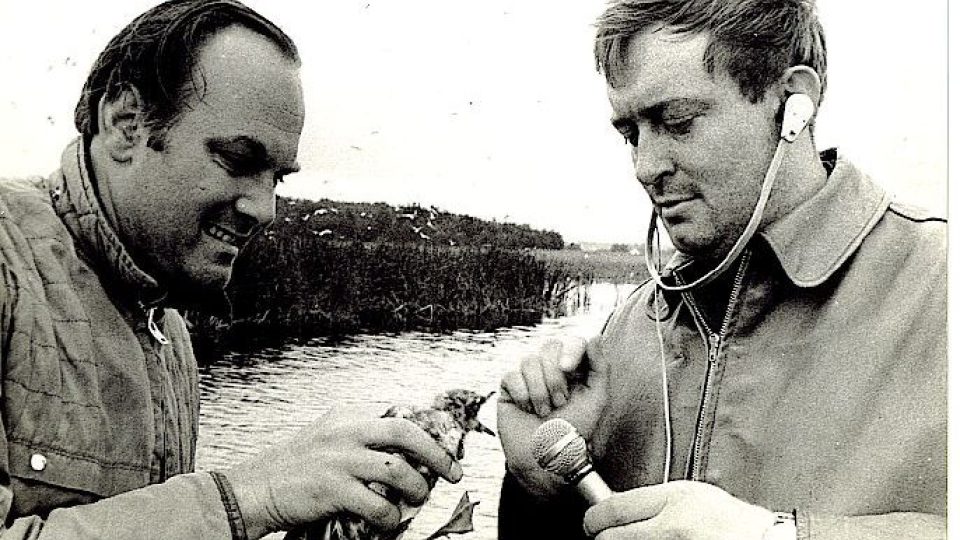 Oldřich Unger (vpravo) s Jefferym Boswallem z BBC v rezervaci Velký a Malý Tisý na Moravě s mládětem racka chechtavého (červen 1967). Dokument z největší rozhlasové expedice (Meteoru) po přírodních rezervacích v Československu. Trvala od 28. května do 22.