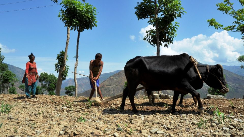 Obyvatelé nepálské vesnice Dahú se obávají sesuvů půdy