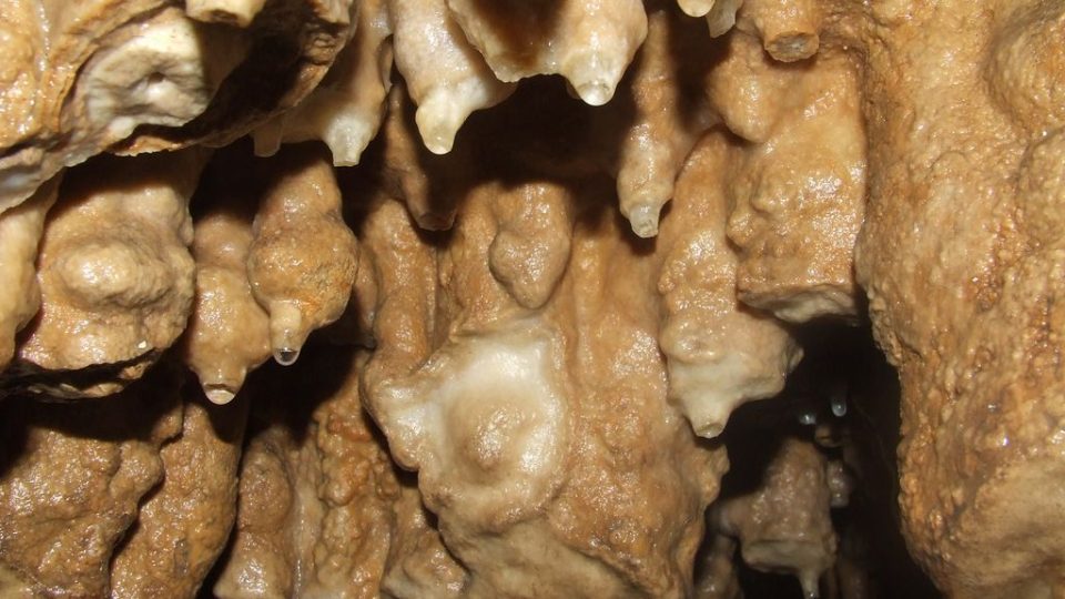 Mladé krápníčky narůstají na starých ulámaných stalaktitech