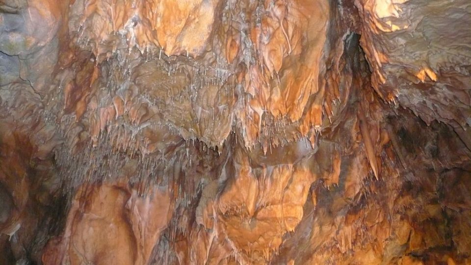 Na výběžcích stropu narůstají mladé stalaktity v podobě dutých brček. Svědčí to o zachování optimálního prostředí jeskyně.