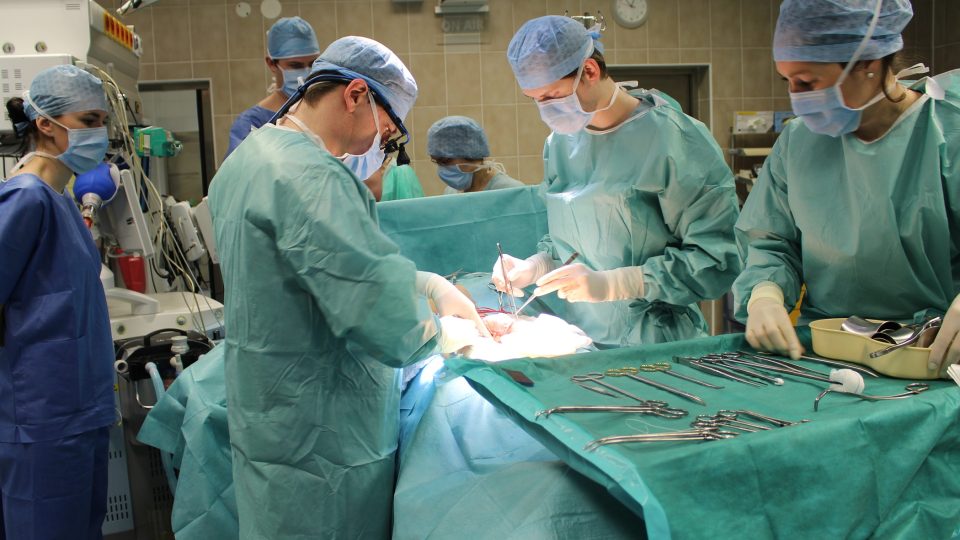 Druhá fáze operace - našívání ledviny do těla příjemce