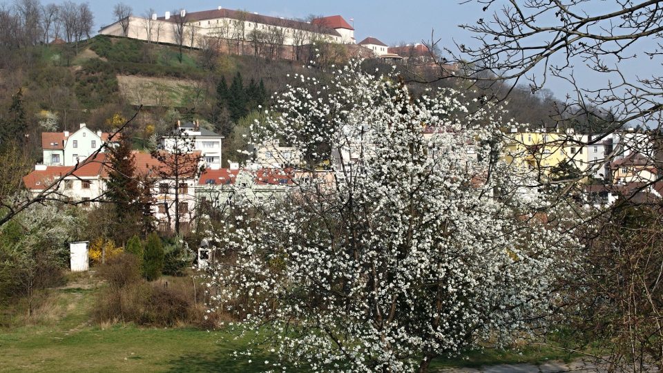 Jaro v Brně