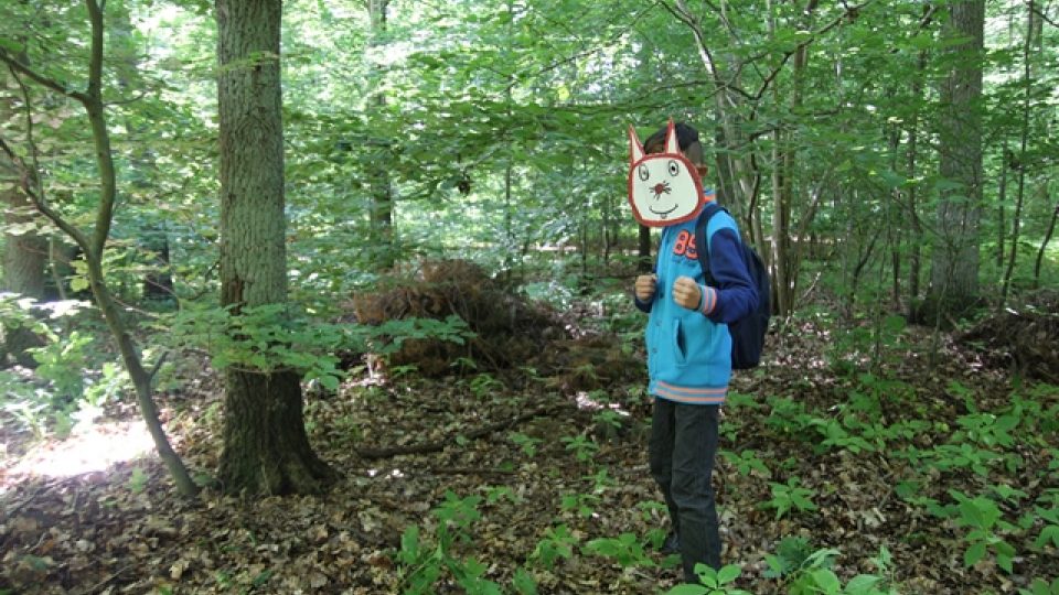 Miroslav v lese