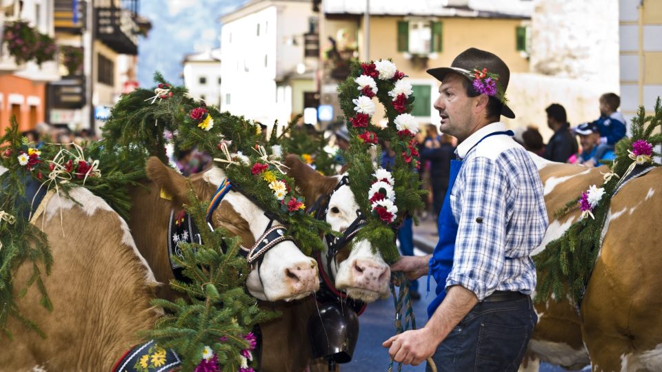 Tradiční slavnost desmontegada, o které Pavel Hanuška v rozhovoru mluvil, se v roce 2016 pořádá 11. září v Cavalese (kozy) a 2. října 2016 v Predazzo (krávy)