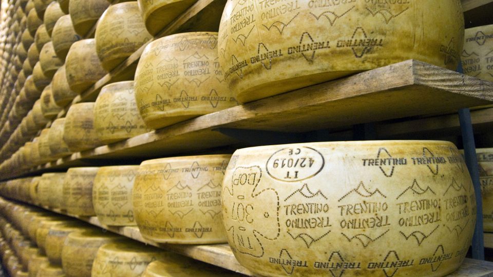 Trentingrana, speciální trentinský sýr (Trentino)
