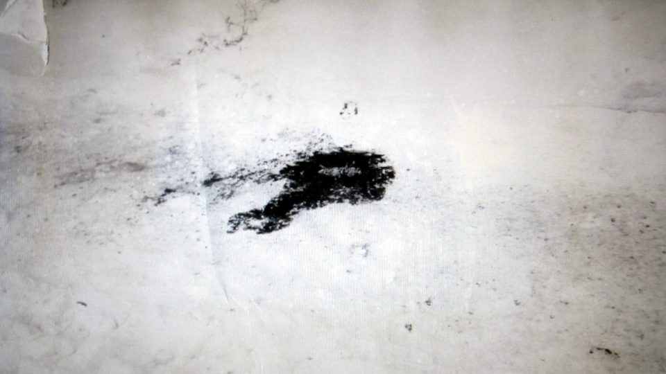 Detail krve na sněhu