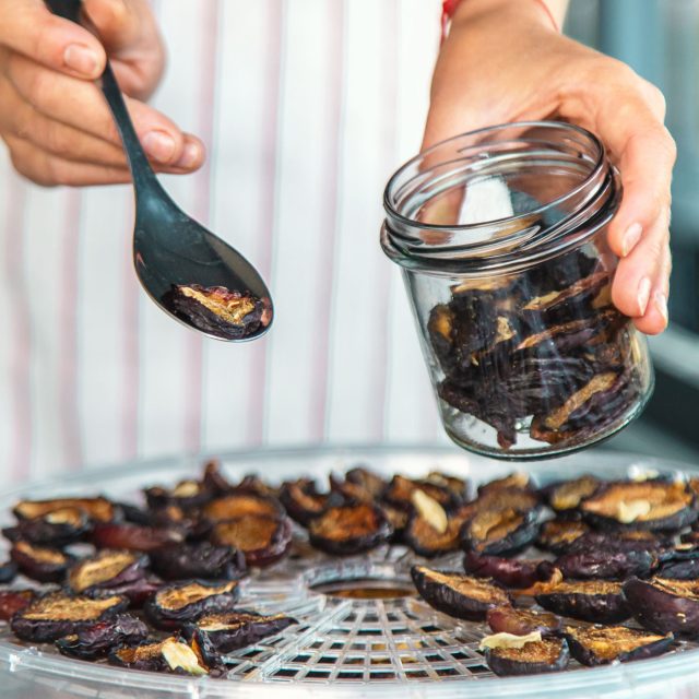 sušička na ovoce | foto: Profimedia