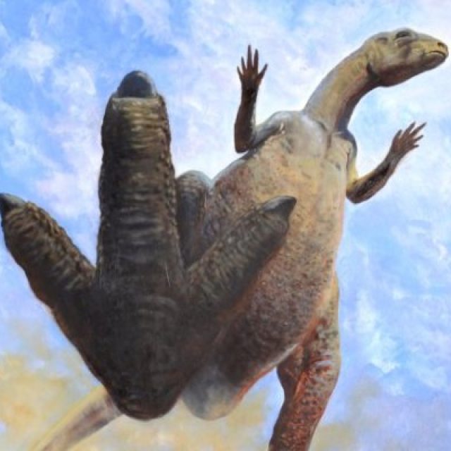 Rekonstrukce nohy dinosaura,  který zanechal druhou českou stopu  (výřez) | foto: Petr Modlitba,   ilustrace