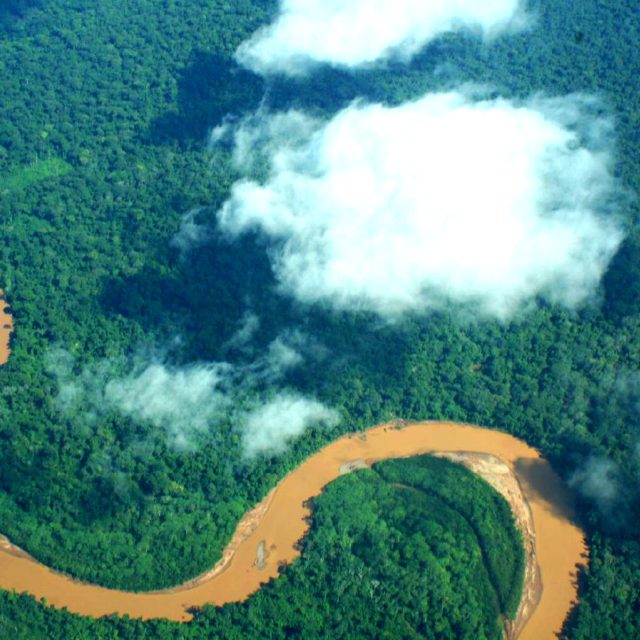 Amazonský deštný prales | foto:  CC BY-SA 2.0,  Jonathan Lewis