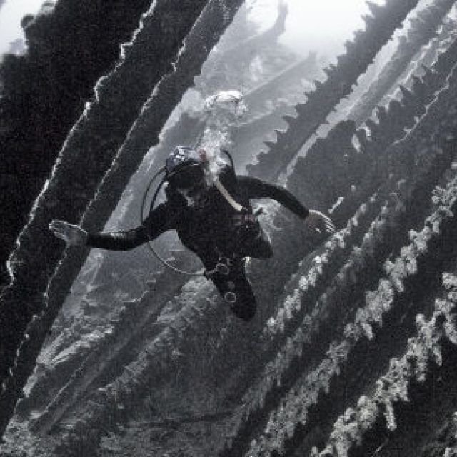 Potápěčská technika se od Kořánových dob příliš nezměnila | foto: Jiří Jarkovský