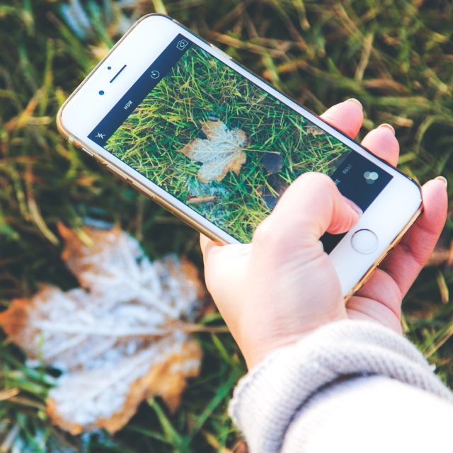 Bohužel nejde předem moc odhadnout,  jak zkouška mrazem dopadne,  říká o testu mrazem redaktor dTestu | foto: Fotobanka Pixabay