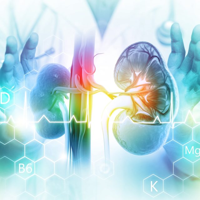 Moci bez nemoci: Novinková transplantace ledvin u komplikovaných pacientů | foto: Shutterstock