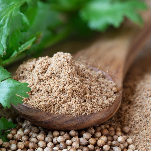 koriandr | foto: Profimedia