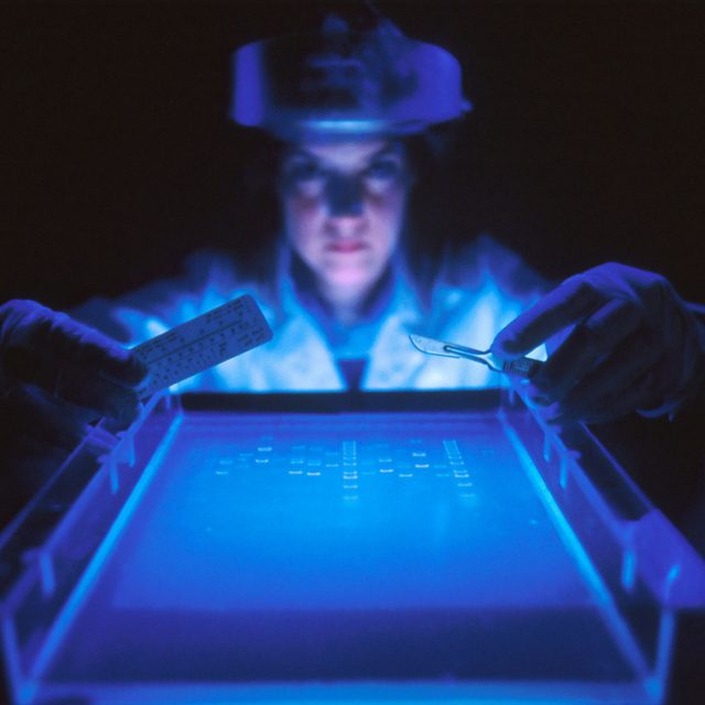 Genetika | foto: National Cancer Institute,  Fotobanka Unsplash