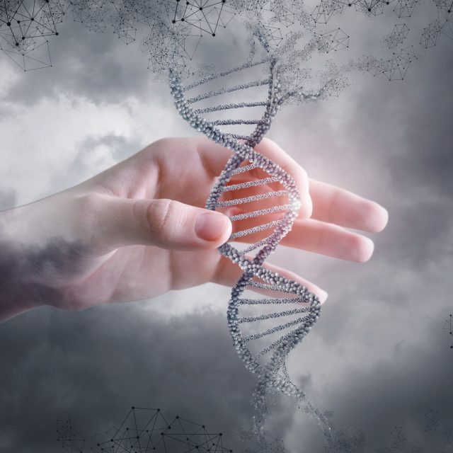 Vědci umí odebrat DNA z ovzduší | foto: Shutterstock