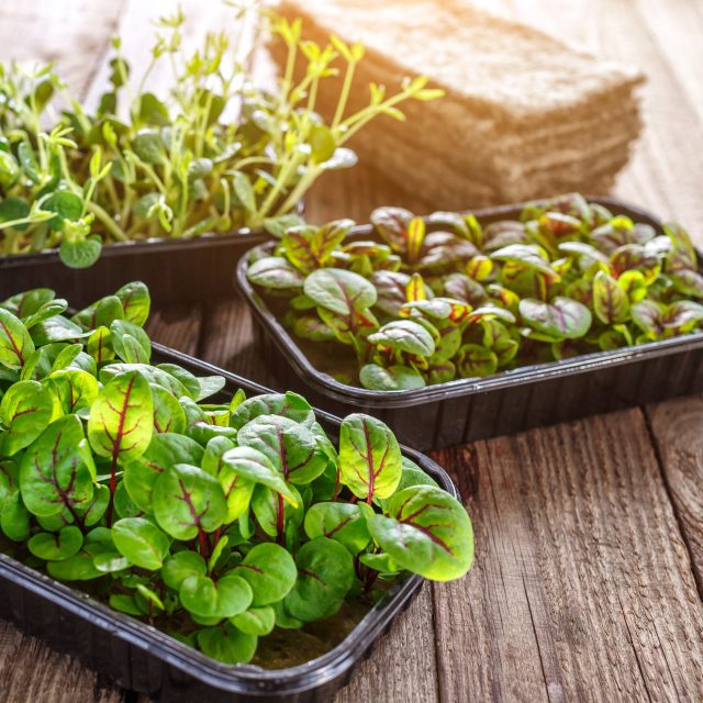 Ilustrační foto | foto: Profimedia