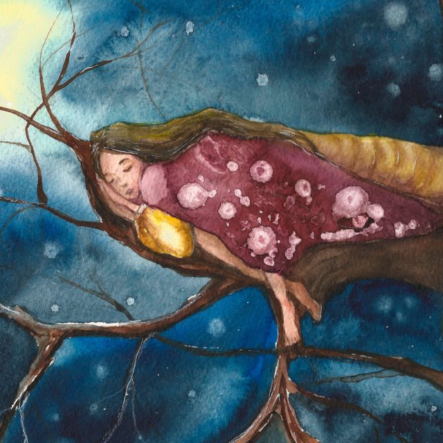 Pohádky o stromových vílách | foto: Shutterstock