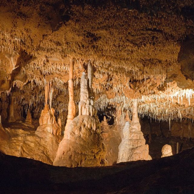 Útvar nazvaný Galerie | foto: Zdeněk Truhlář,  Český rozhlas