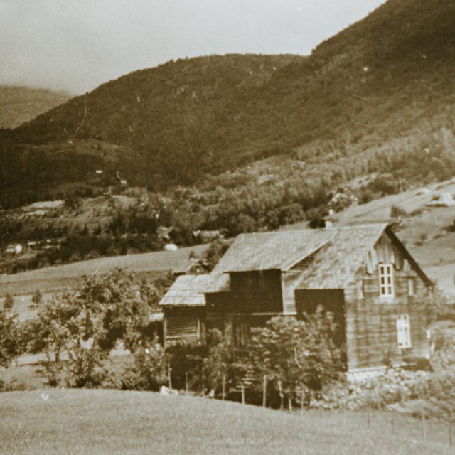 Jindra Těsnohlídková zemřela na svatební cestě v Norsku | foto: Unsplash