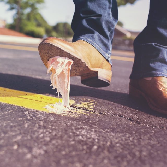 Murphyho zákony | foto:  RyanMcGuire,  Pixabay,  Licence Pixabay