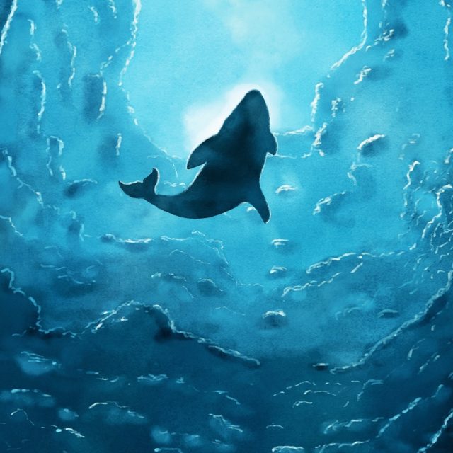 Varvara | foto:  phtorxp,  Fotobanka Pixabay,  Licence Pixabay