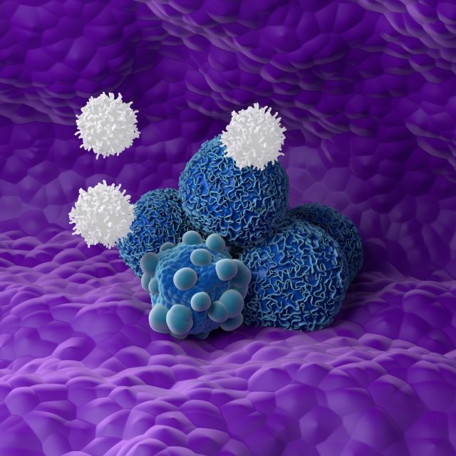 Dá se cukrem bojovat proti rakovině? Pozoruhodný výzkum v Meteoru | foto: Shutterstock