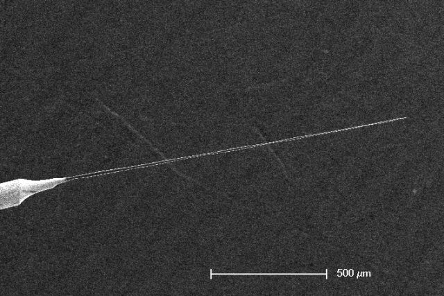 Harpuna vyrobená z uhlíkových nanotrubek je široká jen několik nanometrů | foto:  Inho Yoon and Bruce Donald,  Duke