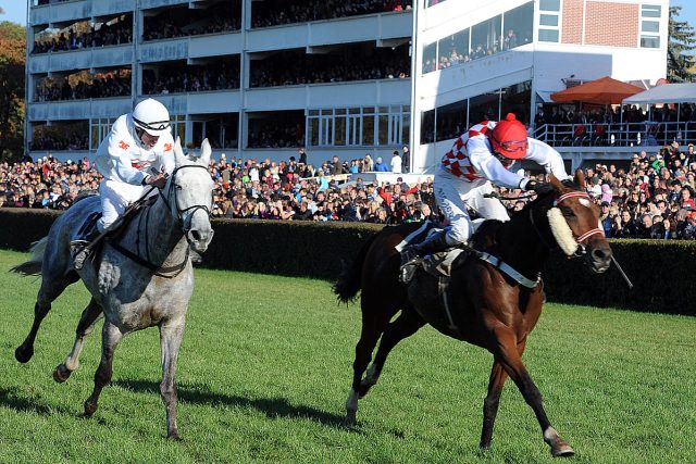 Martina Růžičková dojela do cíle Velké pardubické jako první žena po 17 letech | foto: Filip Jandourek