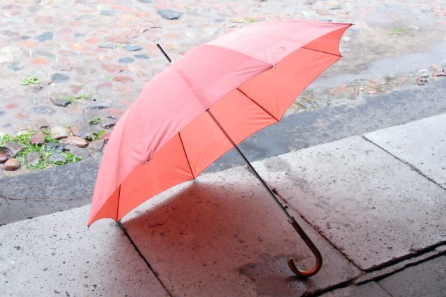 Deštník,  déšť  (ilustrační foto) | foto: Stock Exchange