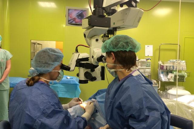 Ústečtí lékaři jako první u nás vyzkoušeli nový způsob operace zeleného zákalu | foto: Gabriela Hauptvogelová,  Český rozhlas