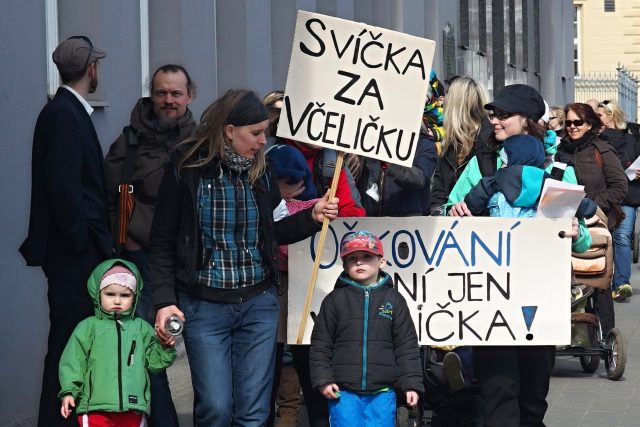 7. března 2015 prošli městy demonstrující. Brno nebylo výjimkou | foto: Alena Blažejovská,  Český rozhlas