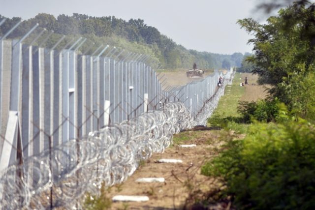 Mnozí Maďarům vytýkají,  že stavějí ploty. Ale oni jen dodržují to,  co jim Schengen nařizuje,  tedy že musí chránit vnější hranice prostoru,  říká ekolog | foto: Zoltan Mathe,  ČTK
