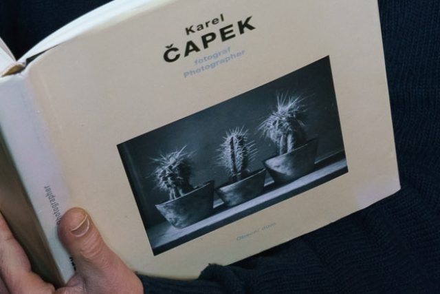 Že Karel Čapek miloval kaktusy,  dosvědčují i jeho vlastní fotografie | foto: Khalil Baalbaki,  Český rozhlas