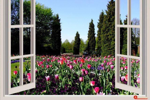 Nejkrásnější zahradou je pro Ferdinanda Lefflera les. „Příroda vás nikdy neomrzí. Je pravdivá a na nic si nehraje“ | foto:  pixabay.com