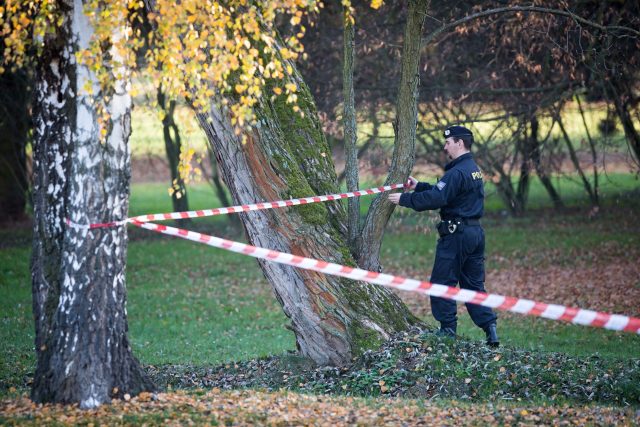Policista v českobudějovickém parku Stromovka: nález mrtvé ženy | foto: Marek Podhora,  MAFRA / Profimedia