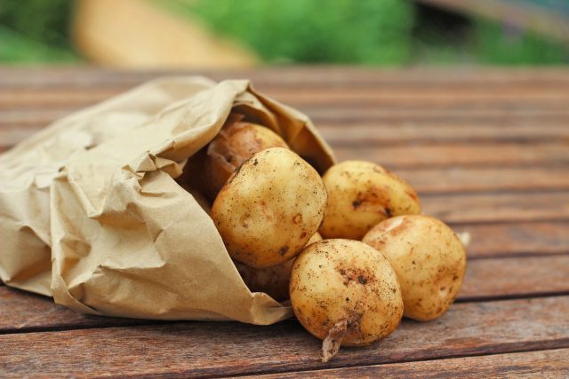 Brambory: Jaké jsou druhy brambor? | foto: Fotobanka Pixabay