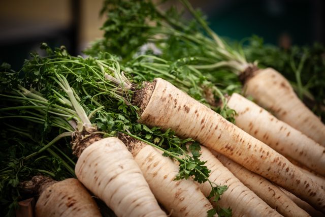 Pastinák | foto: Shutterstock