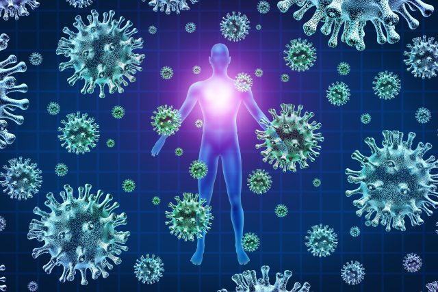 Koronavirus a lidské tělo | foto: Shutterstock