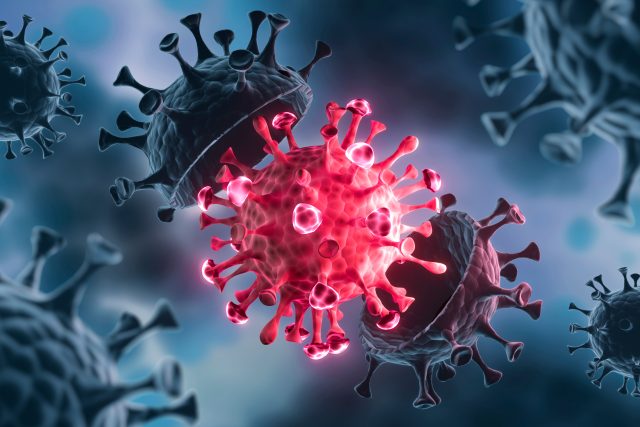 Jak mutují viry? Zjišťoval Meteor | foto: Shutterstock