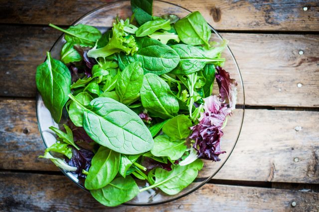 Kupovaná salátová směs musí být vždy čerstvá bez známek zavadnutí či hniloby | foto: Shutterstock