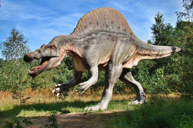 Dinosaurus | foto: Jerzy Górecki,  Pixabay,  CC0 1.0