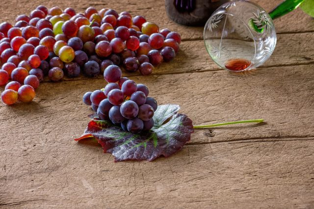 S vůní tradice: Příběh vína | foto:  fotoblend,  Fotobanka Pixabay
