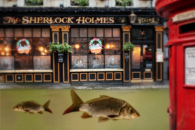 Sherlock Holmes a kapři | foto: Vladimír Staněk,  Shutterstock
