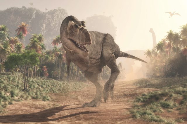 Jaký čich měl tyranosaurus? A jak se to dá zjistit? Ví Meteor | foto: Shutterstock