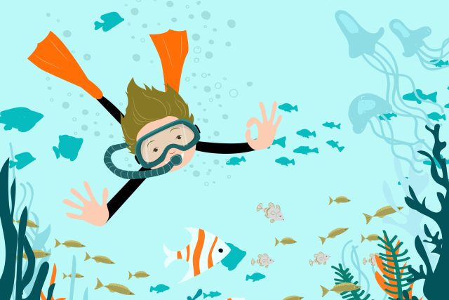 Malý potápěč  (ilustrační foto) | foto: Shutterstock