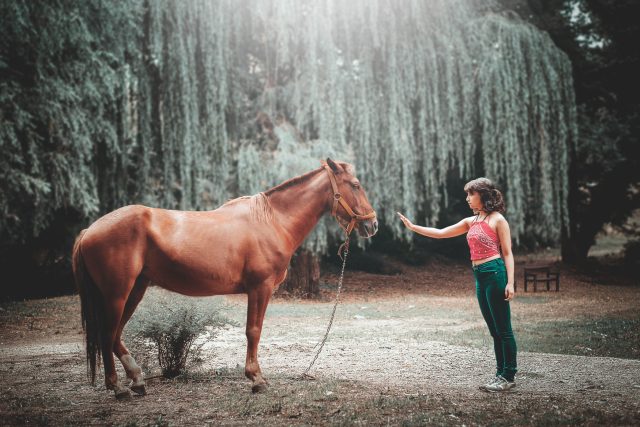 Kůň a žena | foto: Daniel Cano,  Fotobanka Unsplash