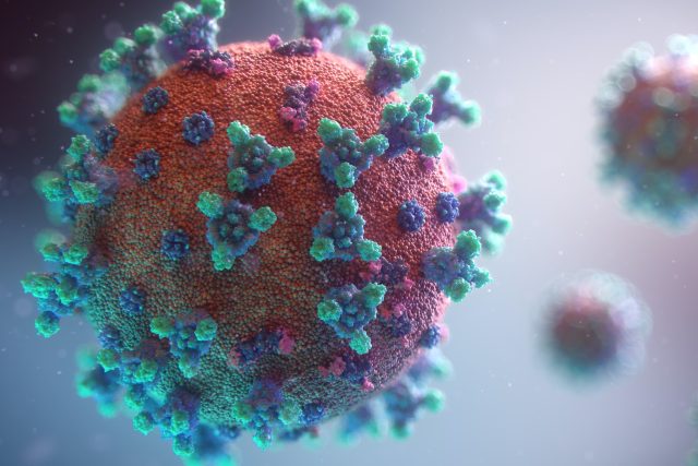 Šíření nebezpečných variant viru by pandemii mohlo dostat opět na začátek | foto:  Fusion Medical Animation,  Fotobanka Unsplash
