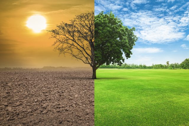 Klimatická změna | foto: Shutterstock