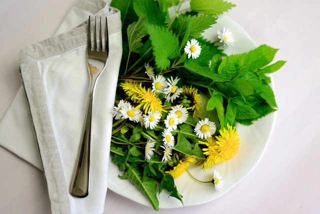 Ptačinec žabinec: Je vhodný do salátů i jako alternativa špenátu | foto: Fotobanka Pixabay